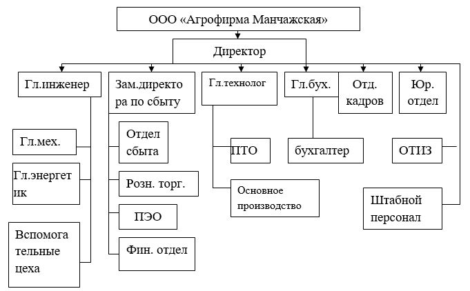 Дипломная работа: Фінансові потоки у неприбуткових організаціях